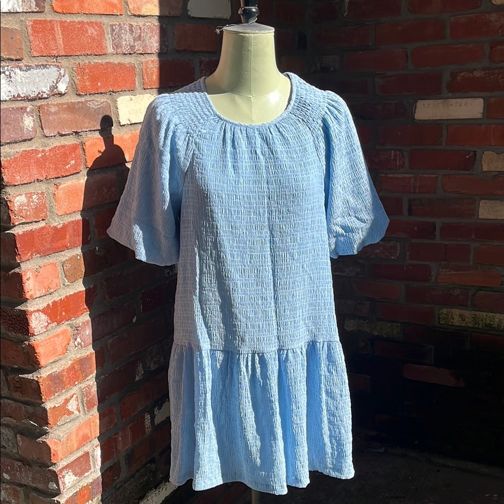 NWT Steve Madden Abrah Blue Ruffled Smocked Mini Sundress size Medium